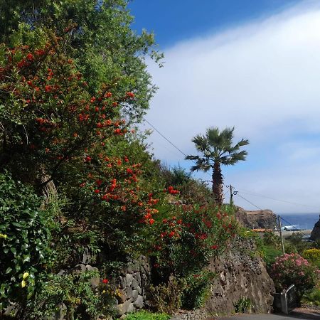 Paraíso Resiliente Santana (Madeira) Exterior foto