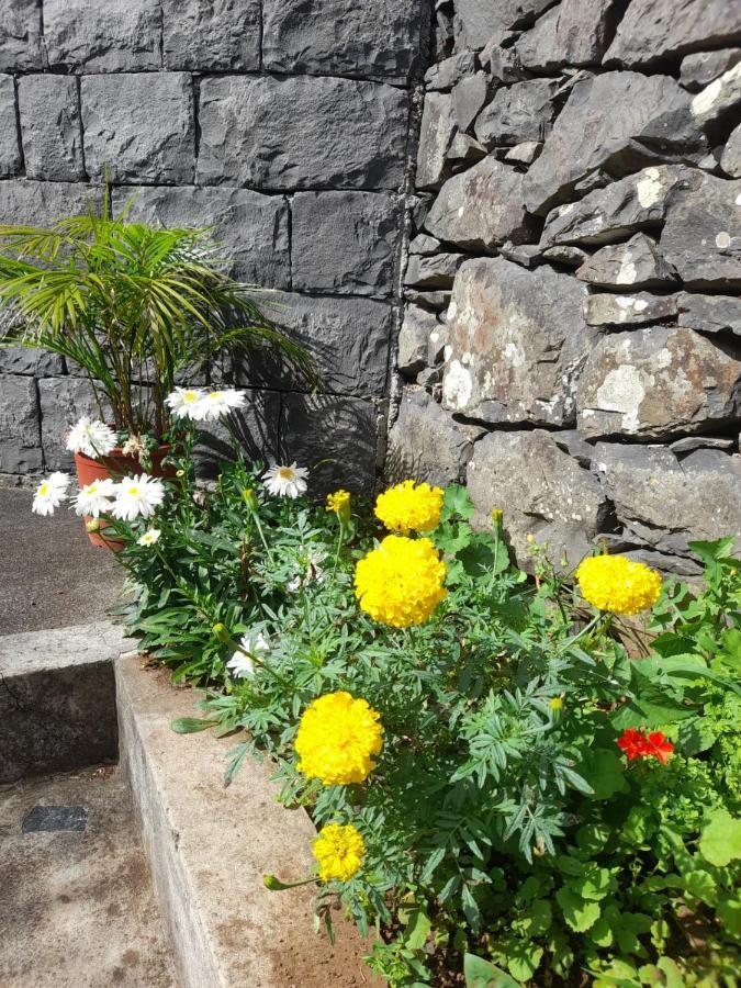 Paraíso Resiliente Santana (Madeira) Exterior foto